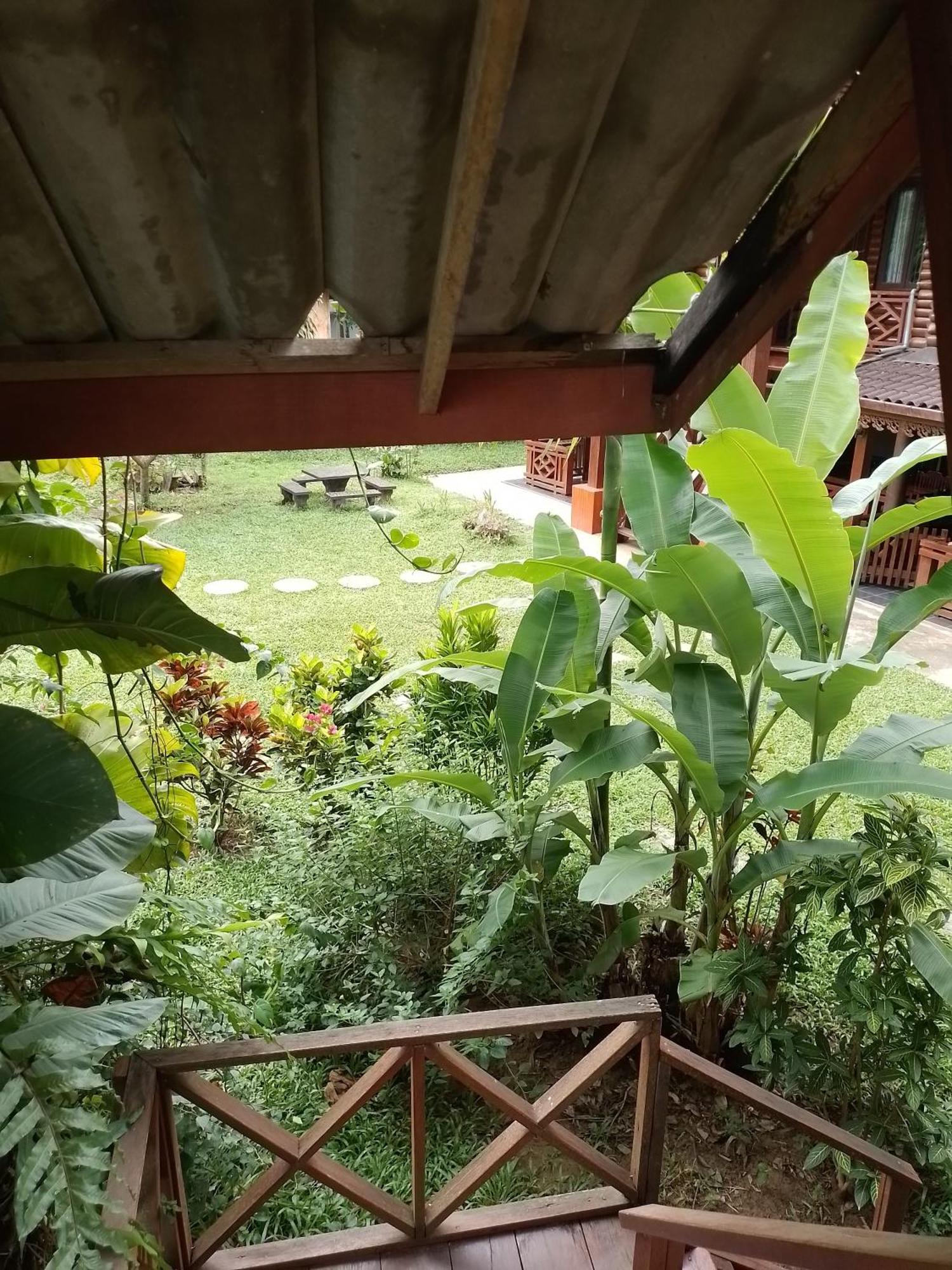 Namsong Bridge Bungalows Vang Vieng Exteriör bild